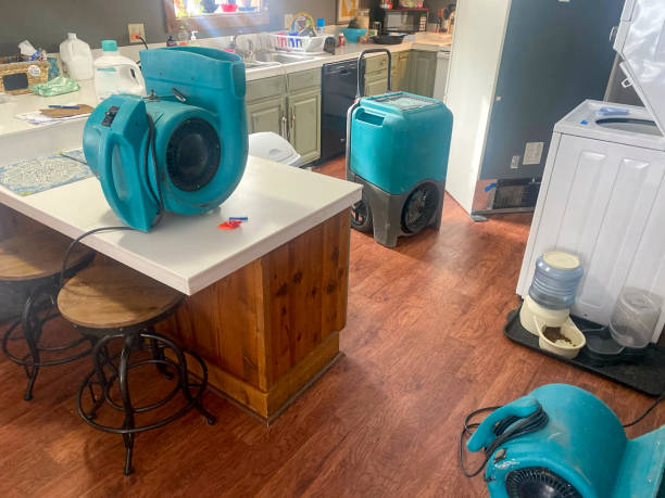 Best Water damage repair service  in Arlington Heights, WA