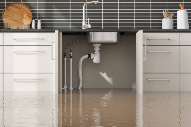 Best Residential water damage restoration  in Arlington Heights, WA