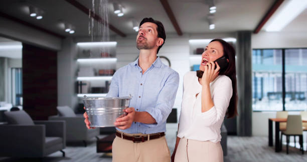 Water damage restoration mold remediation in WA