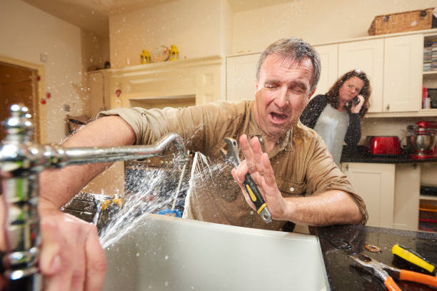 Best Ceiling water damage repair  in Arlington Heights, WA